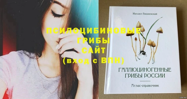 шишки Липки