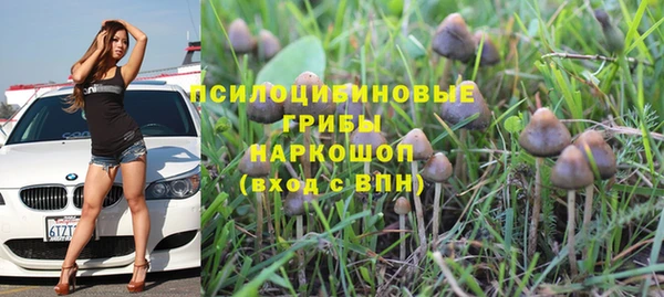 амф Валуйки