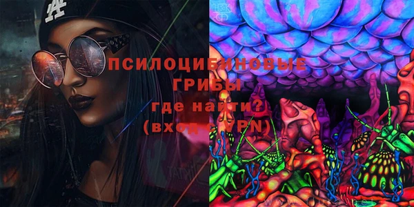 шишки Липки