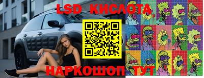 твердый Новозыбков
