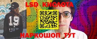 твердый Новозыбков