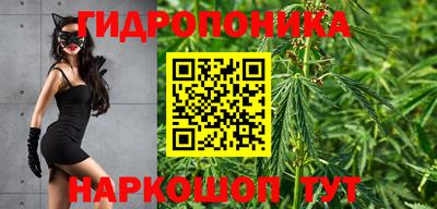 гашиш Новодвинск
