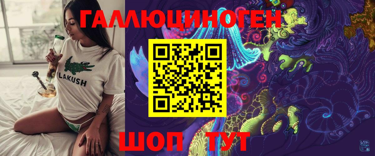 Галлюциногенные грибы Psilocybine cubensis Нягань